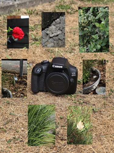 Canon eos 4000d body dslr - canon,