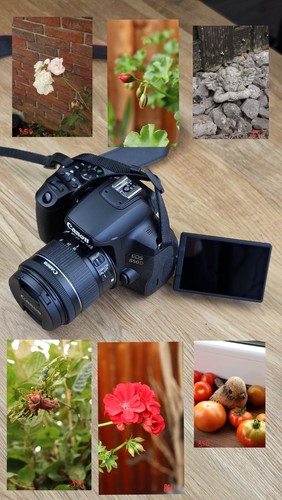 Canon eos 850d - canon,